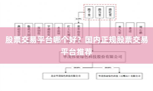 股票交易平台哪个好?国内正规股票交易平台推荐